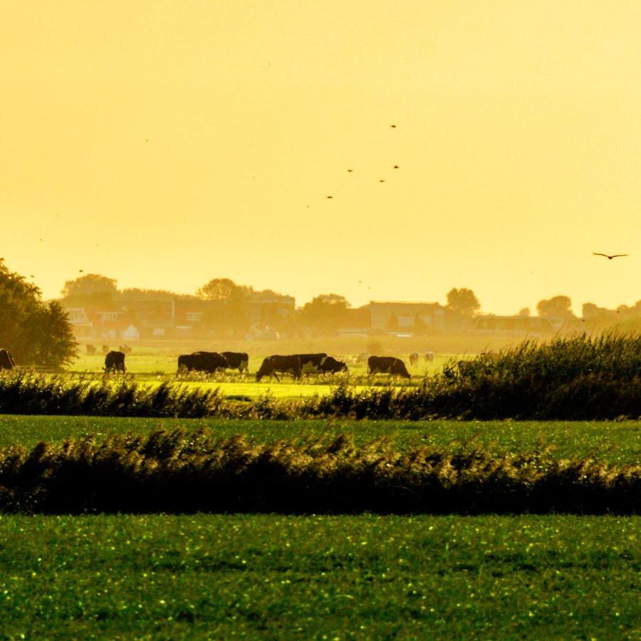 Vakantiehuis Het Voorhuis Op Landgoed Koepeltjesplaats Gaast Экстерьер фото