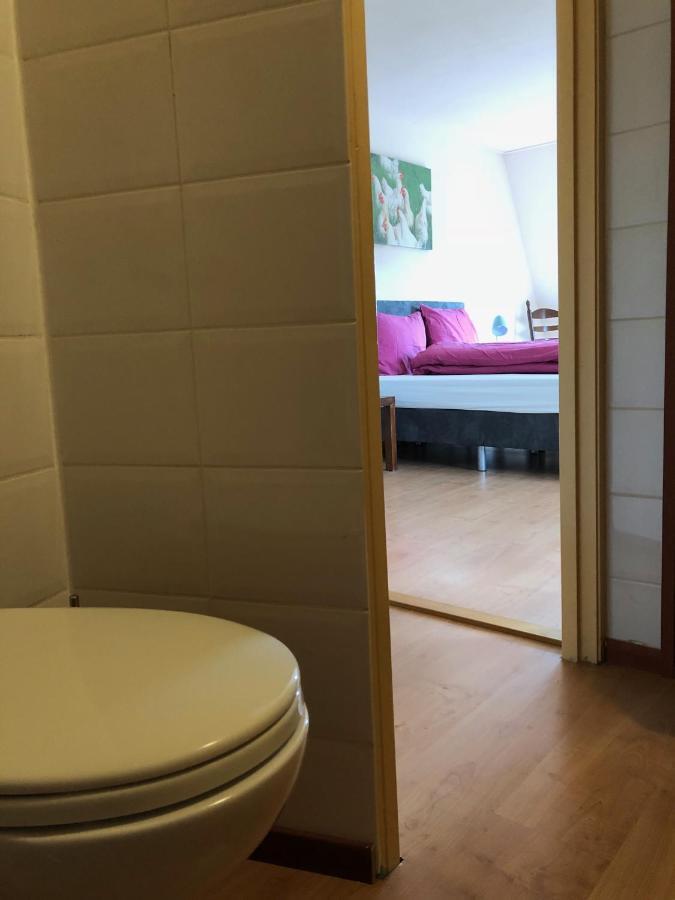 Vakantiehuis Het Voorhuis Op Landgoed Koepeltjesplaats Gaast Экстерьер фото